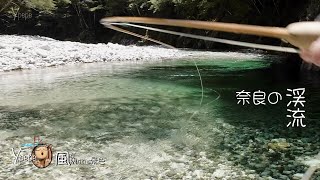 Vlog風景　奈良の渓流　谷底のアマゴは天然もん？ 　透き通る水辺に癒される　フライフィッシング　風が抜けていく景色