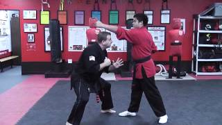 KENPO BEGINNERS BASICS-VIDEO TWO