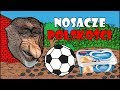 Nosacze Polskości №1#9 | Dzień jak co dzień |