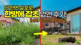 단 한번 살포로 잡초제거 성공 l 잡초제거방법 후기 입니다! 전원생활의 필수품