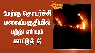 மேற்கு தொடர்ச்சி மலைப்பகுதியில் பற்றி எரியும் காட்டுத் தீ  | forest fire