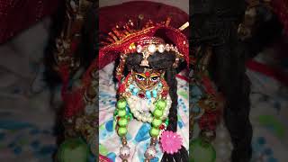 Vrindavan ke ki chabi aaye 💖💝💕#radhe radhe 💖|| shankha biswas|| joy gopal