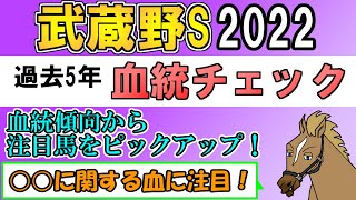 武蔵野ステークス2022 考察 過去5年血統チェック【バーチャルサラブレッド・リュウタロウ/競馬Vtuber】