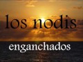 los nodys enganchados