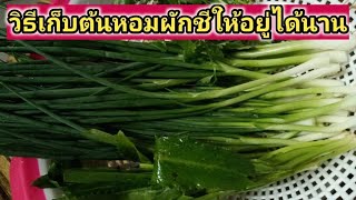 วิธีเก็บต้นหอมผักชีให้อยู่ได้นานไม่เน่าเร็ว How to preserve shallots