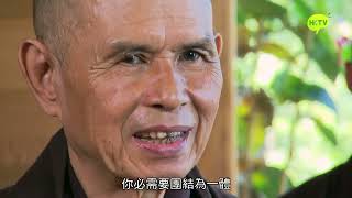 《飄》第18集 一行禪師 Gone with the wind EP18 Thich Nhat Hanh