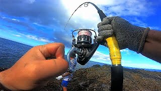 ISLAND style ULUA fishing off the rocks SAMOA 2019 we EAT fish