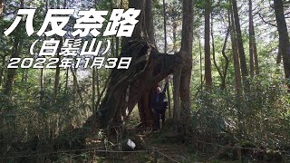 【登山】八反奈路（白髪山）2022年11月3日（高知県）【登山　高知】