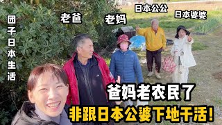 【團子姐日本生活】爸媽憋不住了，非跟日本公婆下地種土豆，中日親家相處令人意外！