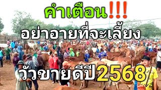 คำเตือน!!..อย่าอายที่จะเลี้ยง...วัวขายดีปี2568