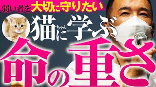 れいわ新選組山本太郎「ペットを大切に守りたい～命の重さを考えよう～」