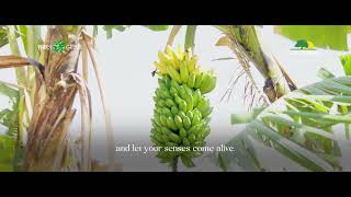 The Sound You’ve Been Missing | Escape City Chaos at Farm Natura #planetgreen #ecoworld