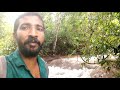 koonam waterfall കൂനം വെളളച്ചാട്ടം