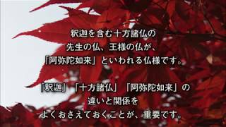 阿弥陀如来とは１（浄土真宗の教え）