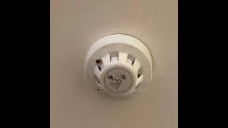 jsb apollo series 60 ionisation  smoke detector