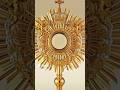 The Monstrance #catholic #worship #adoration #jesus #holyeucharist #catholicchurch #prayer #god