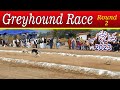 Dog Race | Chakwal Challenge Cup Dori Tack Race | Round 2 | 24-12-23 #dog #dogsRace #Greyhound