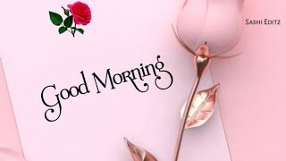 Ep-30//Good morning wishes with Beautiful images. Subscribe @smilingthulasi3686