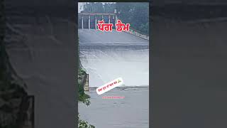 Pong Dam Water Level Today, Pong Dam News Today, Bhakra Dam News #pongdam #trending #shorts