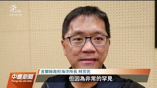 史前深海哥布林鯊被漁民捕獲 台灣海洋藝術館爭取作為教材｜20230614 公視中晝新聞