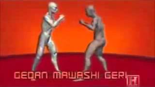 HUMAN WEAPON KARATE TECHNIQUES
