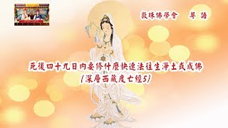 深層《西藏度亡經》5粵語 : 死後四十九日內要修什麼能快速法往生淨土或成佛？啤嗎哈尊金剛上師 敦珠佛學會