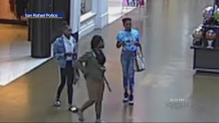 Police Video Reveals 3 Suspects Who Grabbed Elderly Woman's Purse