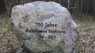 Stadtwald Rathenow im März 2024