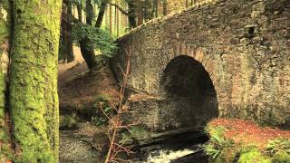 Tollymore Follies Restoration