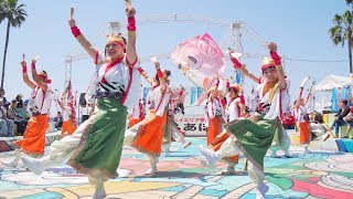 [4K] 京都山城みつば家　Worldあぽろん 2018 オズステージ (中央)