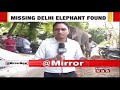 missing delhi elephant laxmi found near yamuna mahout arrested