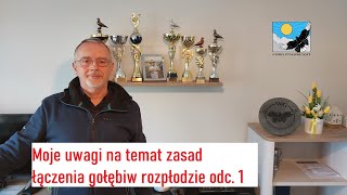 Moje uwagi na temat zasad łączenia gołębi w rozpłodzie odc 1