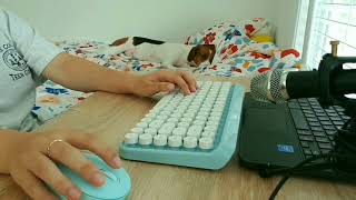 Typing ASMR (Ubotie Keyboard, Typing, No Talking)