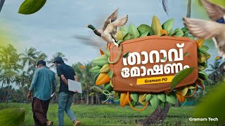 പാടത്തെ താറാവിനെ ഓടിച്ചിട്ട് പിടിച്ച് കറി വെച്ചത്.. | DUCK CURRY | Gramam Tech #gramamtech