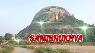 Samibrukhya / #mrider / Samibrukhya Mayurbhanj / Mahabharata Samibrukhya / Samibrukhya Odisha