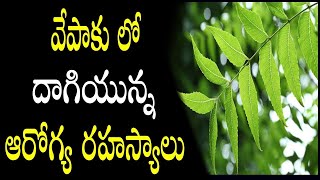 వేపాకు లో దాగియున్న ఆరోగ్య రహస్యాలు | Uses of Neem Leaves