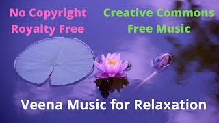No Copyright 5 Mins of Pleasant Veena Music | Sleep Therapy | Meditation | Relaxation | StressRelief