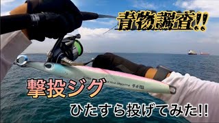 【ショアジギング】坂ノ市一文字で青物調査！！