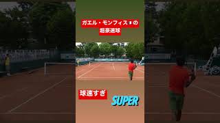 最後の2球異次元すぎ #テニス #モンフィス フォアハンド #tennis