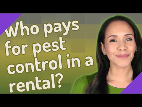Do Tenants Have To Pay For Pest Control