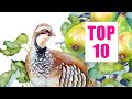 MY TOP 10 💜 Watercolor Tips & Techniques🎄🎨 Holiday Special