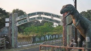 National Fossil Park ll #Ghughwa #MP #Mandla #Dindori From Mandla to Ghughwa, Dindori