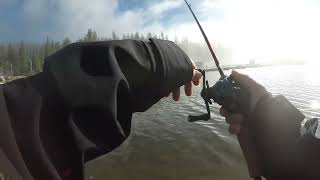 Shaver Lake Big Stocked Trout Fishing