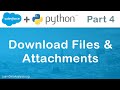 Salesforce API in Python | Download Attachments (record files & attachments)