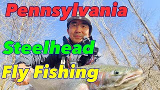 Fly Fishing for Steelhead