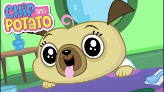 Chip and Potato | Calm Down Chip! | Cartoons For Kids | Watch More on Netflix