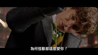 【怪獸與葛林戴華德的罪行】收服奇獸篇