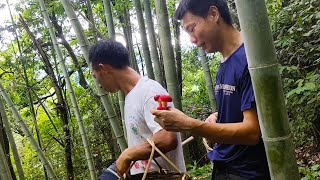 上山采红菇发现这么多山货，各种各样的收获一大筐，瞬间好满足【山村大雄】