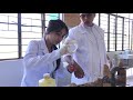 Aldehydes abd Ketones | Organic Chemistry Laboratory Experiment | by First Year Students