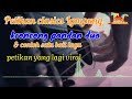 Petikan gitar lampung _ kroncung pandan dua _ gitar tunggal abung siwomigo _ pn wawai atei